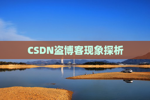 CSDN盗博客现象探析 CSDN盗博客现象探析